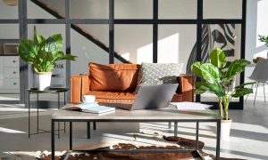 modern-sunny-living-room-interior-design